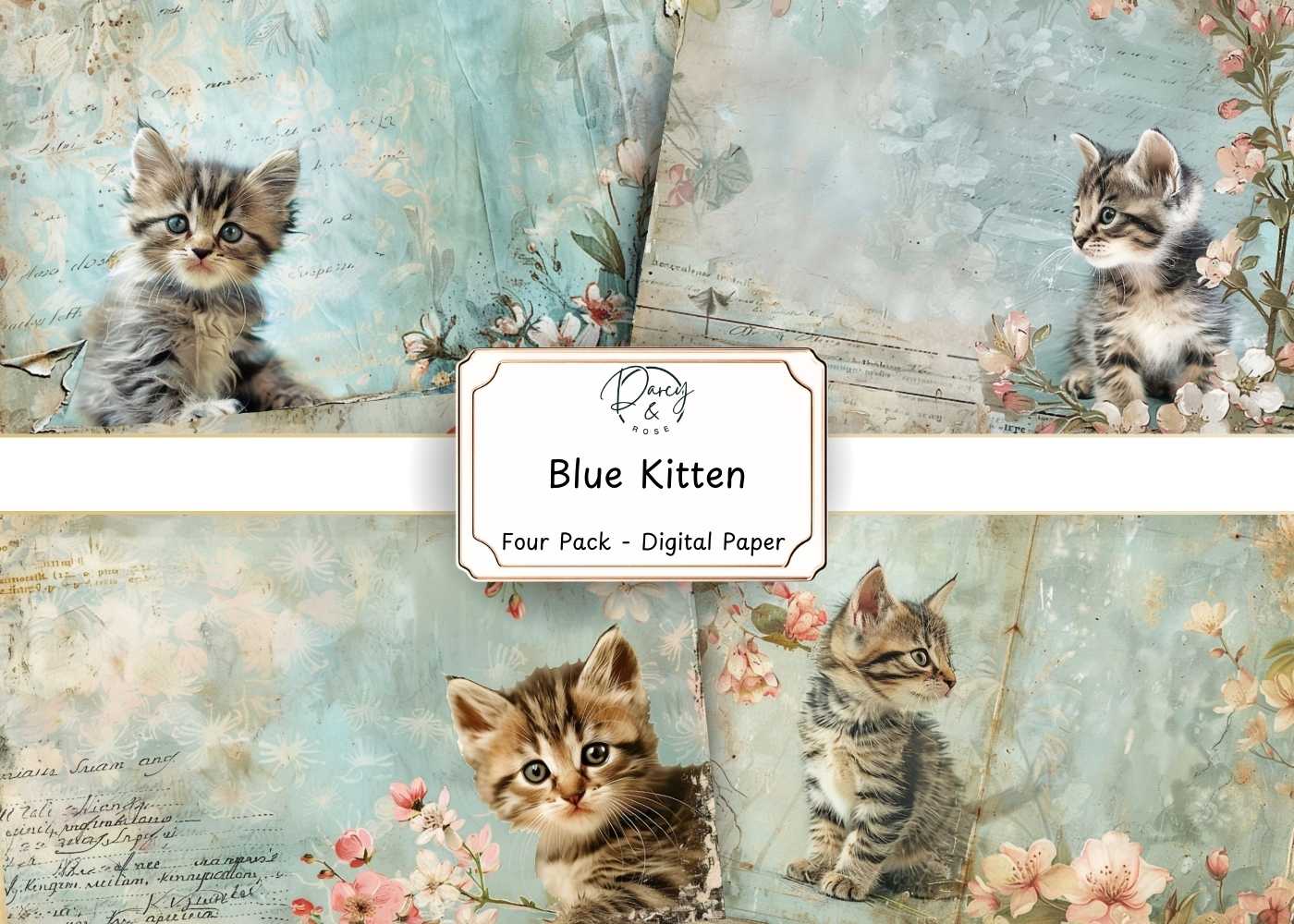 Blue Kitten